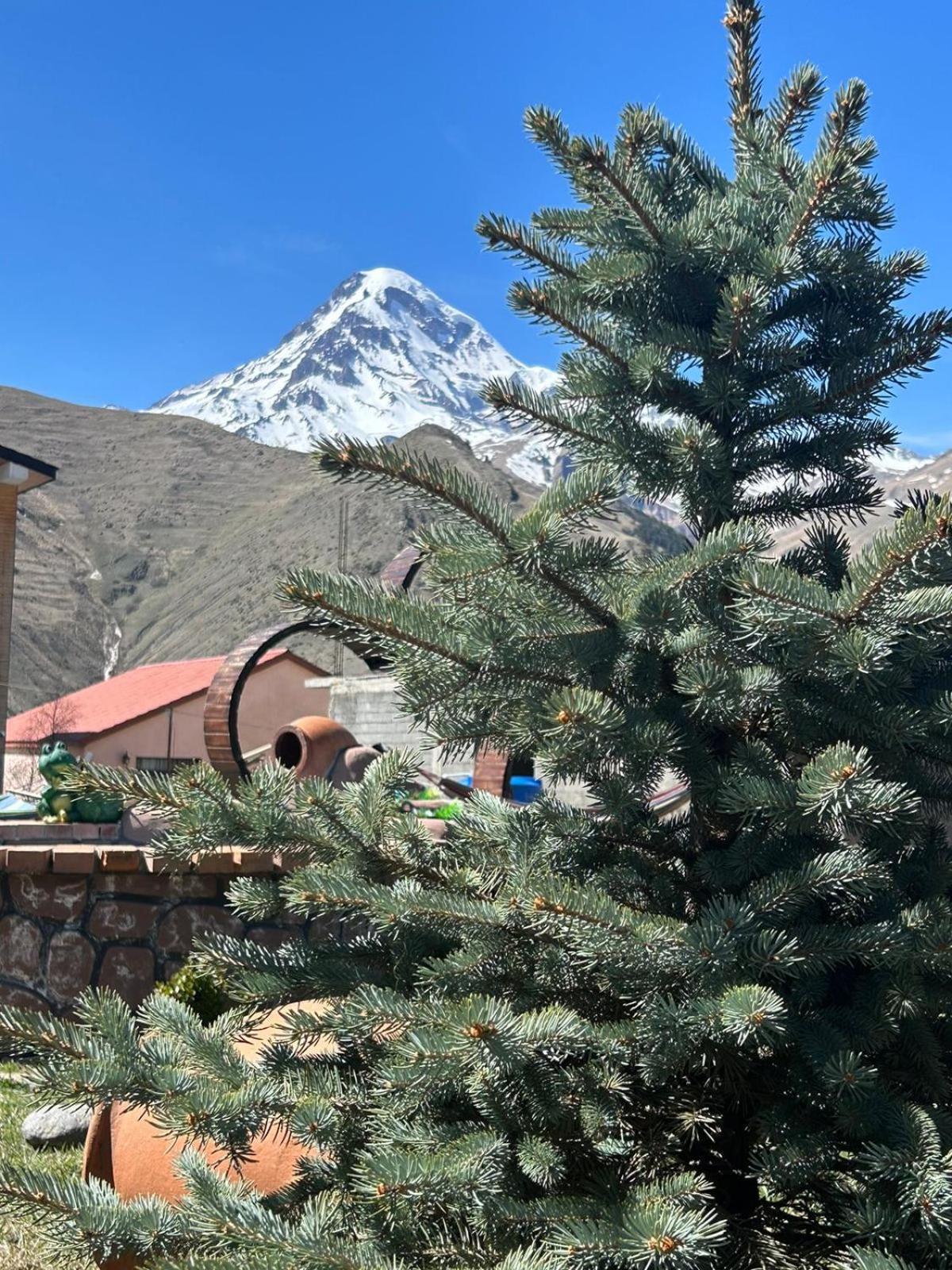 Panorama Cottages Kazbegi Exteriör bild